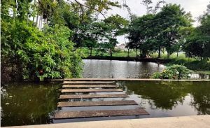 জগর আলী চৌধুরী জামে মসজিদ এর পুকুর ঘাট